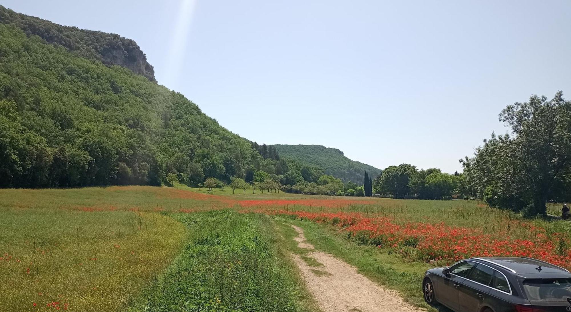 Les Jonquilles Bed and Breakfast Domme Εξωτερικό φωτογραφία